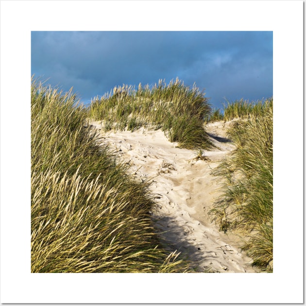 SAND DUNE of Denmark Wall Art by SILVA_CAPITANA